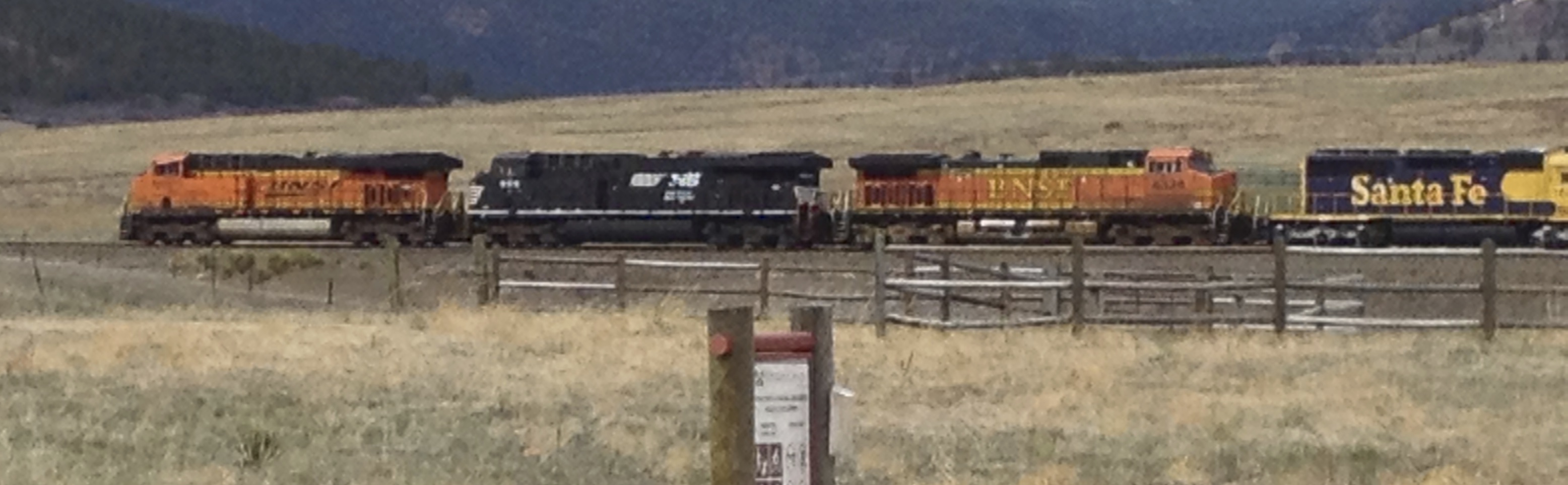 BNSF 4338 (unusual gathering of locomotives)